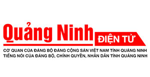 đánh bài trực tuyến Bình Dương tìm hiểu